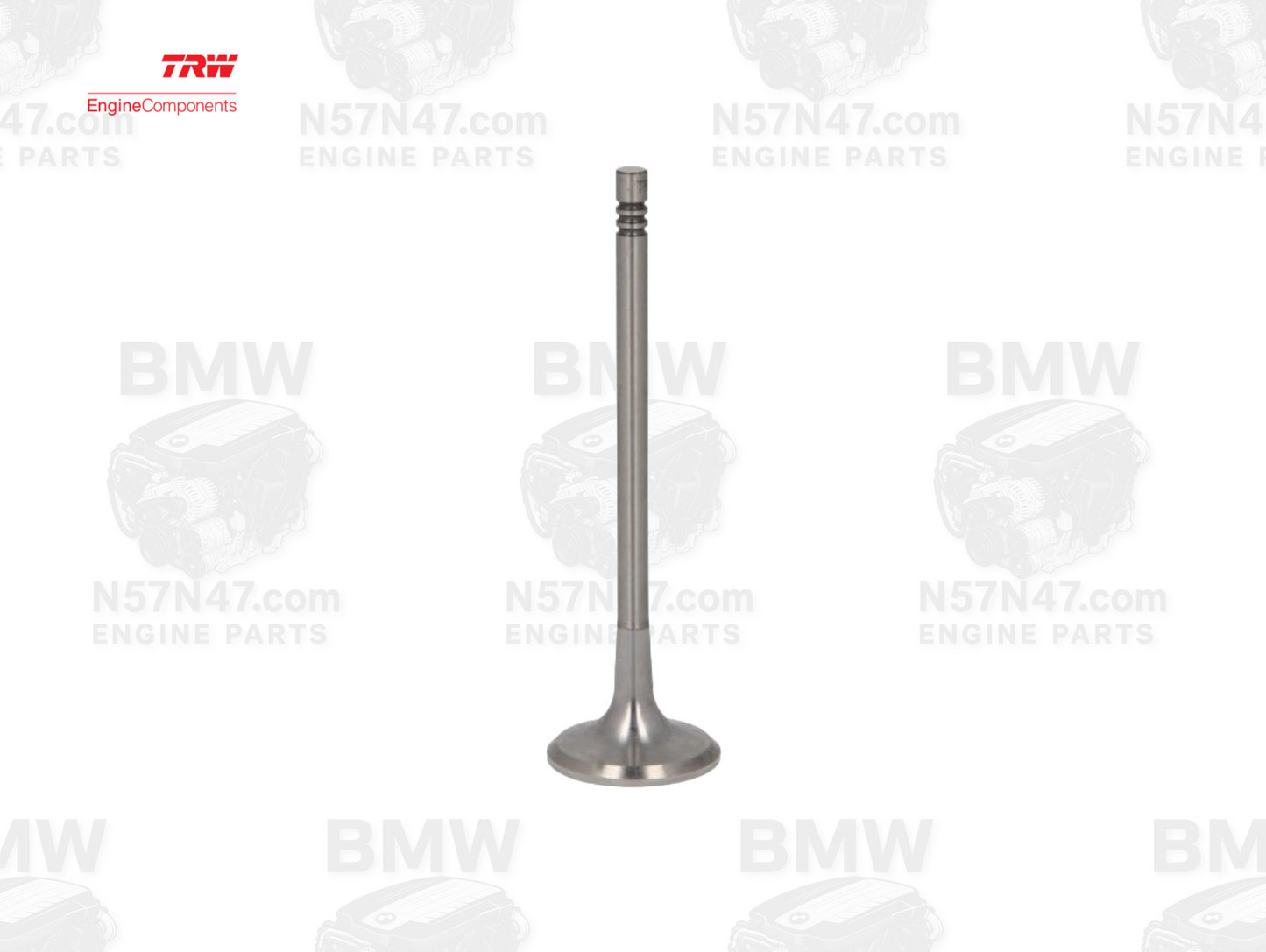 TRW 111216 BMW N57 Intake Valve