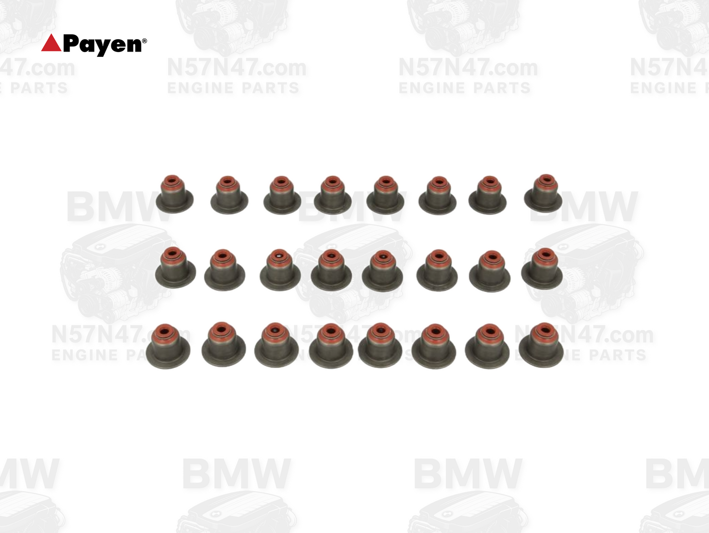 Payen HR5107 BMW N57 Valve Stem Seal Set - 24x
