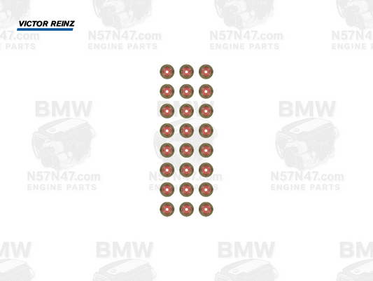 Victor Reinz 12-41303-01 BMW N57 Valve Stem Seal Set - 24x