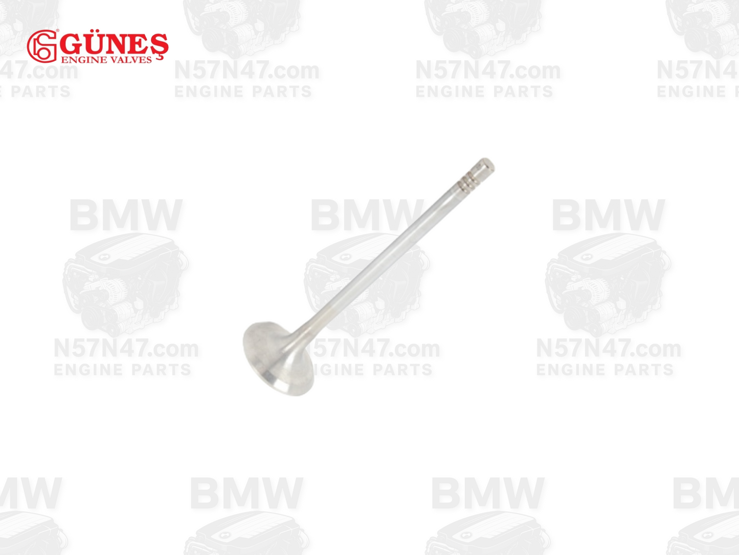 Gunes 0572 BMW N57 Intake Valve