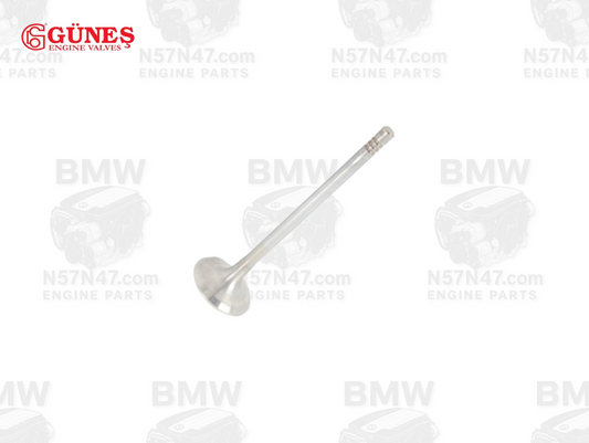 Gunes 0573 BMW N57 Exhaust Valve