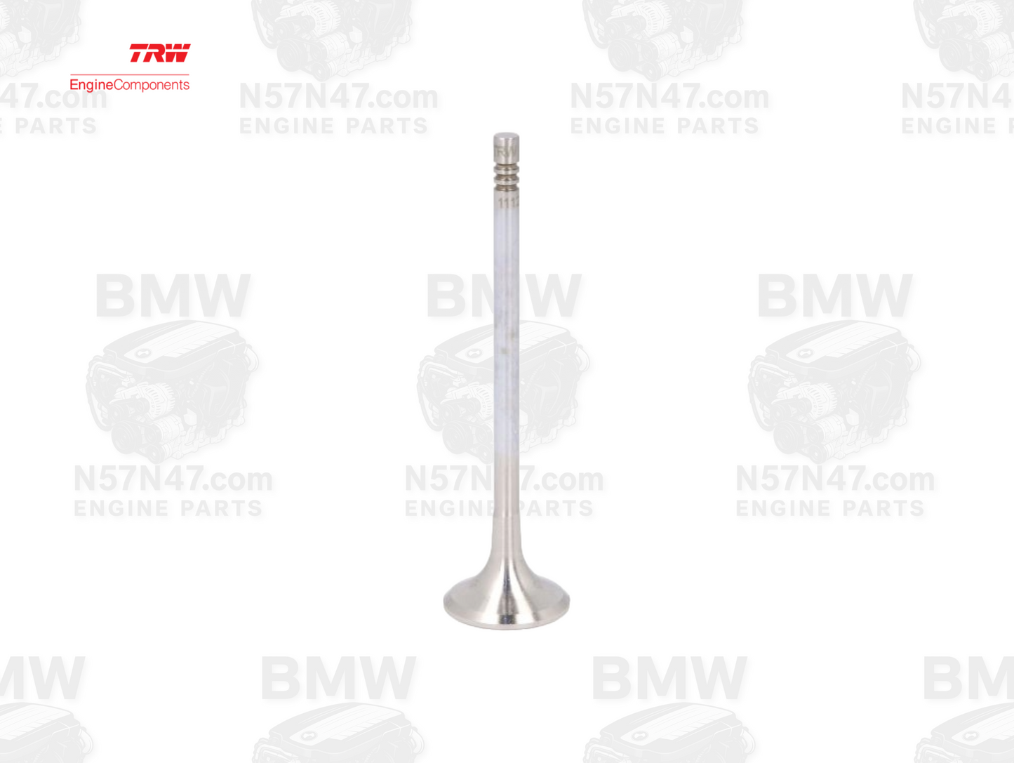TRW 111215 BMW N57 Exhaust Valve