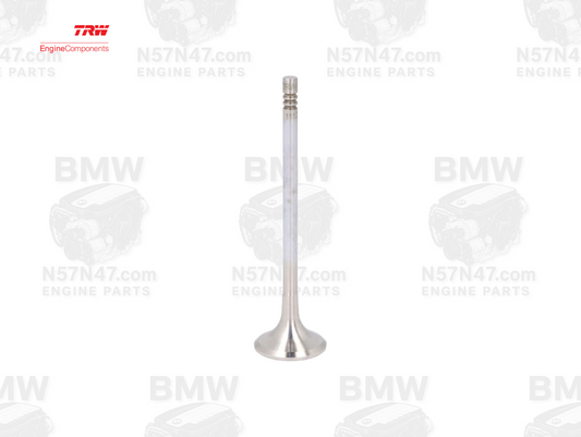 TRW 111215 BMW N57 Exhaust Valve