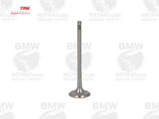 TRW 111216 BMW N57 Intake Valve